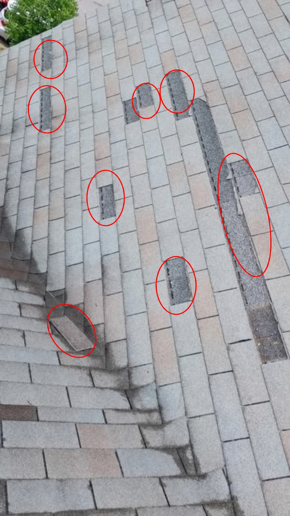 Roof with missing shingle tabs and exposed areas circled in red